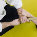 Consistent Effort Over Time: A Guide to Martial Arts Discipline